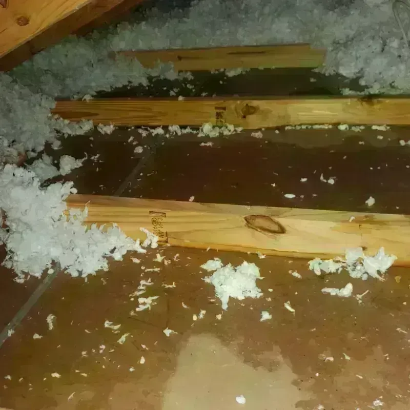 Attic Water Damage in Port Wentworth, GA